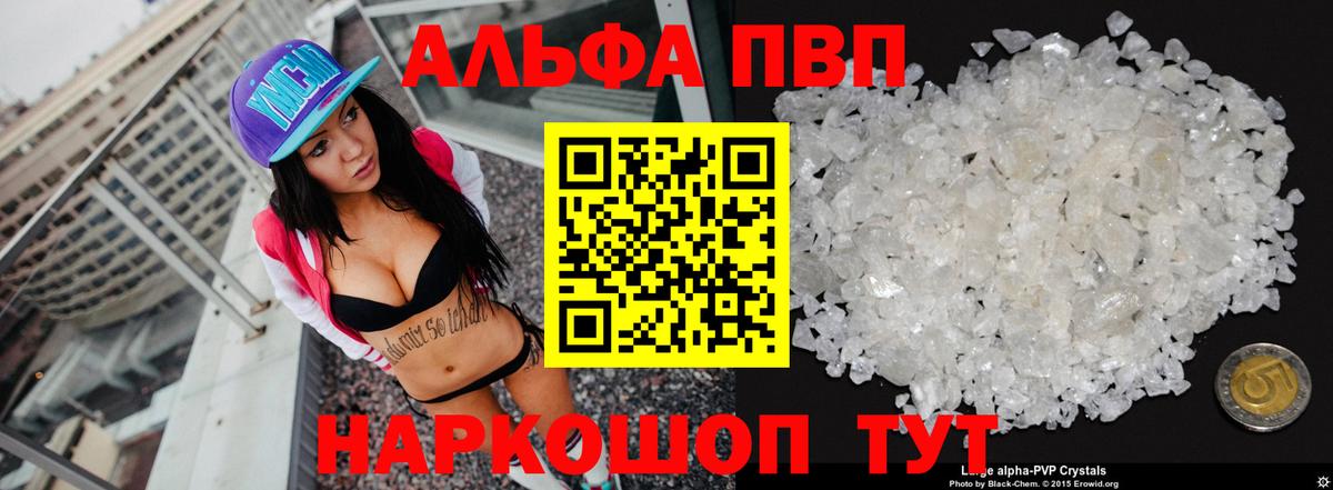 A PVP СК КРИС Новодвинск