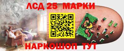 spice Гусь-Хрустальный