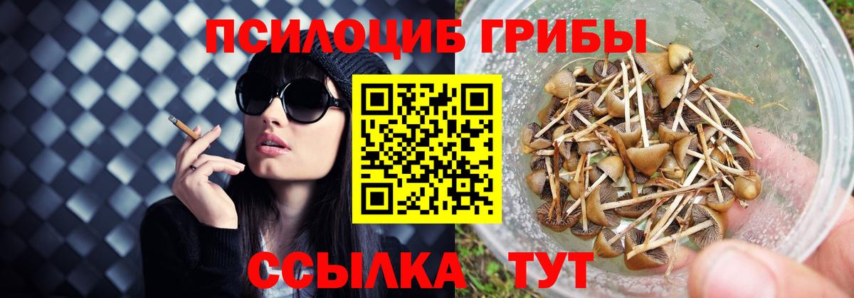 Галлюциногенные грибы GOLDEN TEACHER  Вход с VPN  Новодвинск  Псилоцибиновые грибы Magic Shrooms 